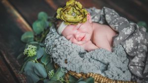 Newborn Photographer Buffalo NY